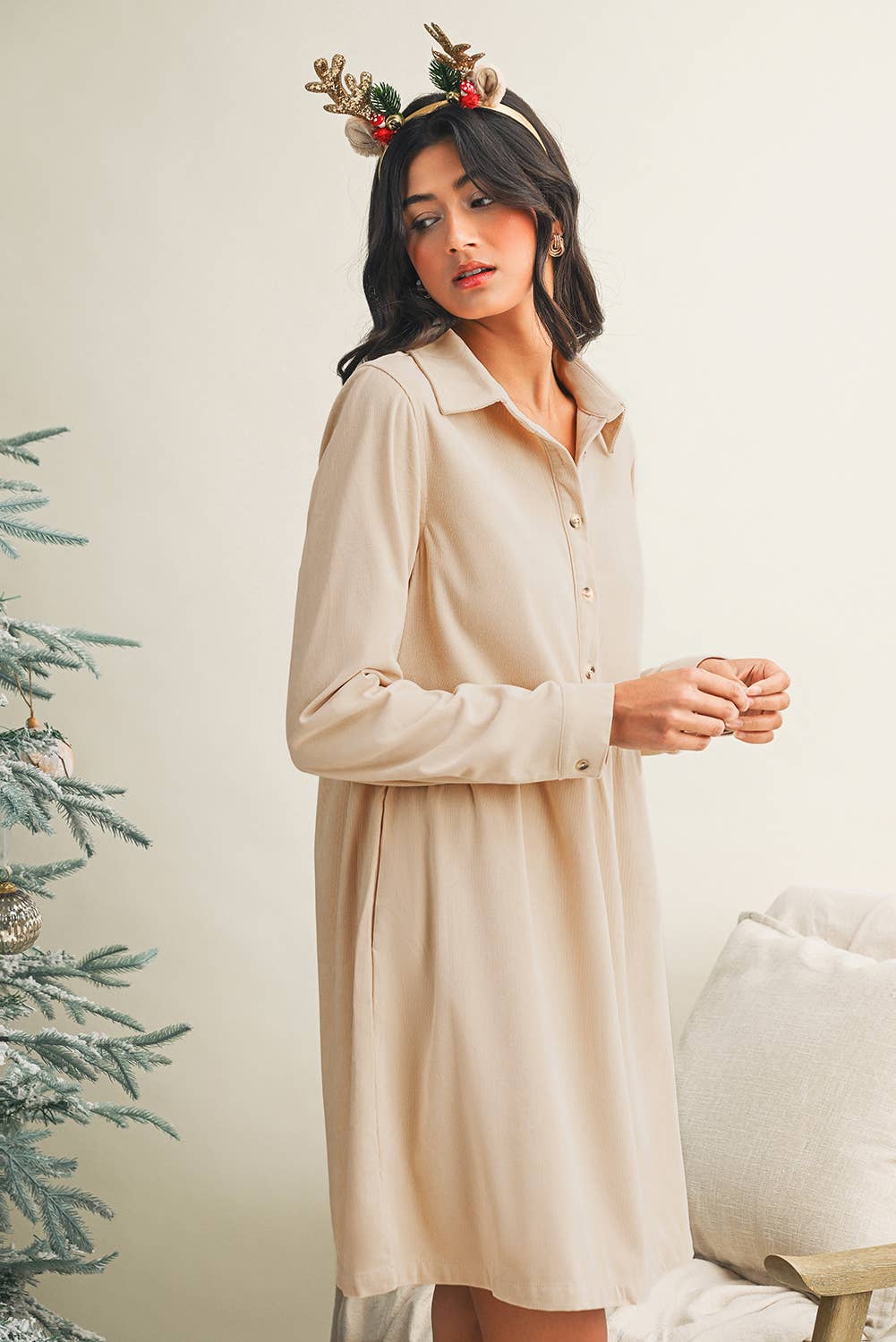 Bethany Collared Mini Dress