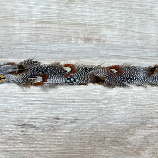 Western Feather Spotted Eagle Hat Band