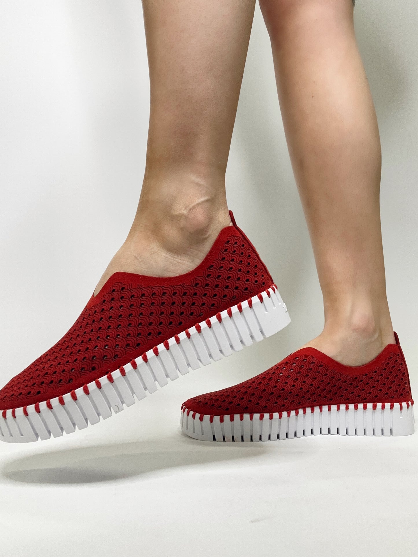 ILSE JACOBSEN- Tulip Platform 3373
