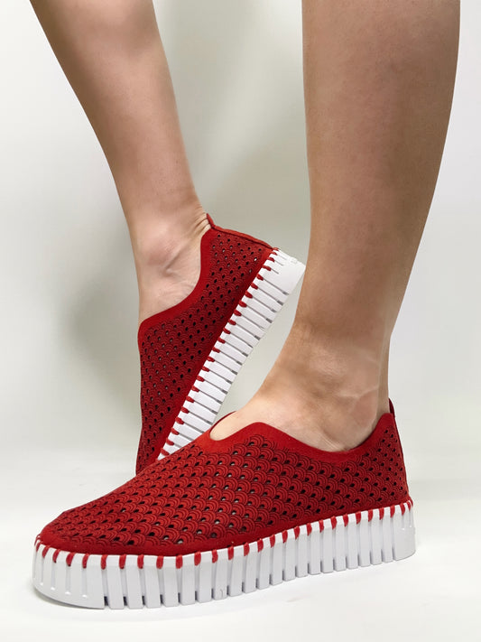 ILSE JACOBSEN- Tulip Platform 3373