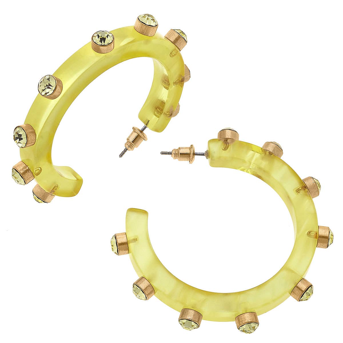 Renee Resin and Rhinestone Hoop Earrings