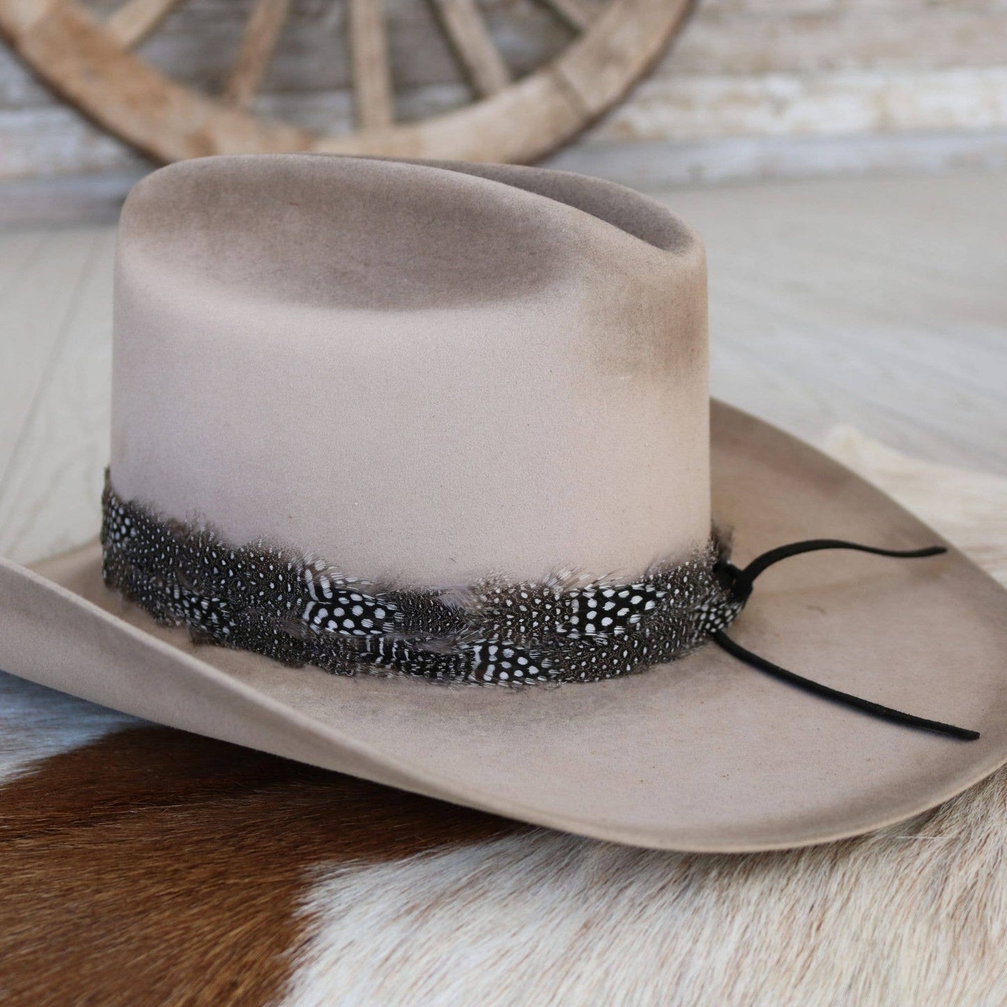 Western Feather Birch Hat Band