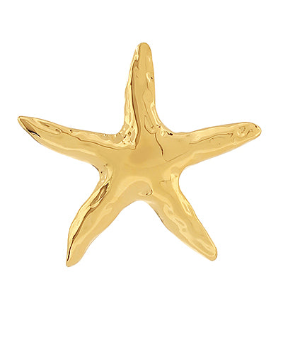 Starfish Brooch