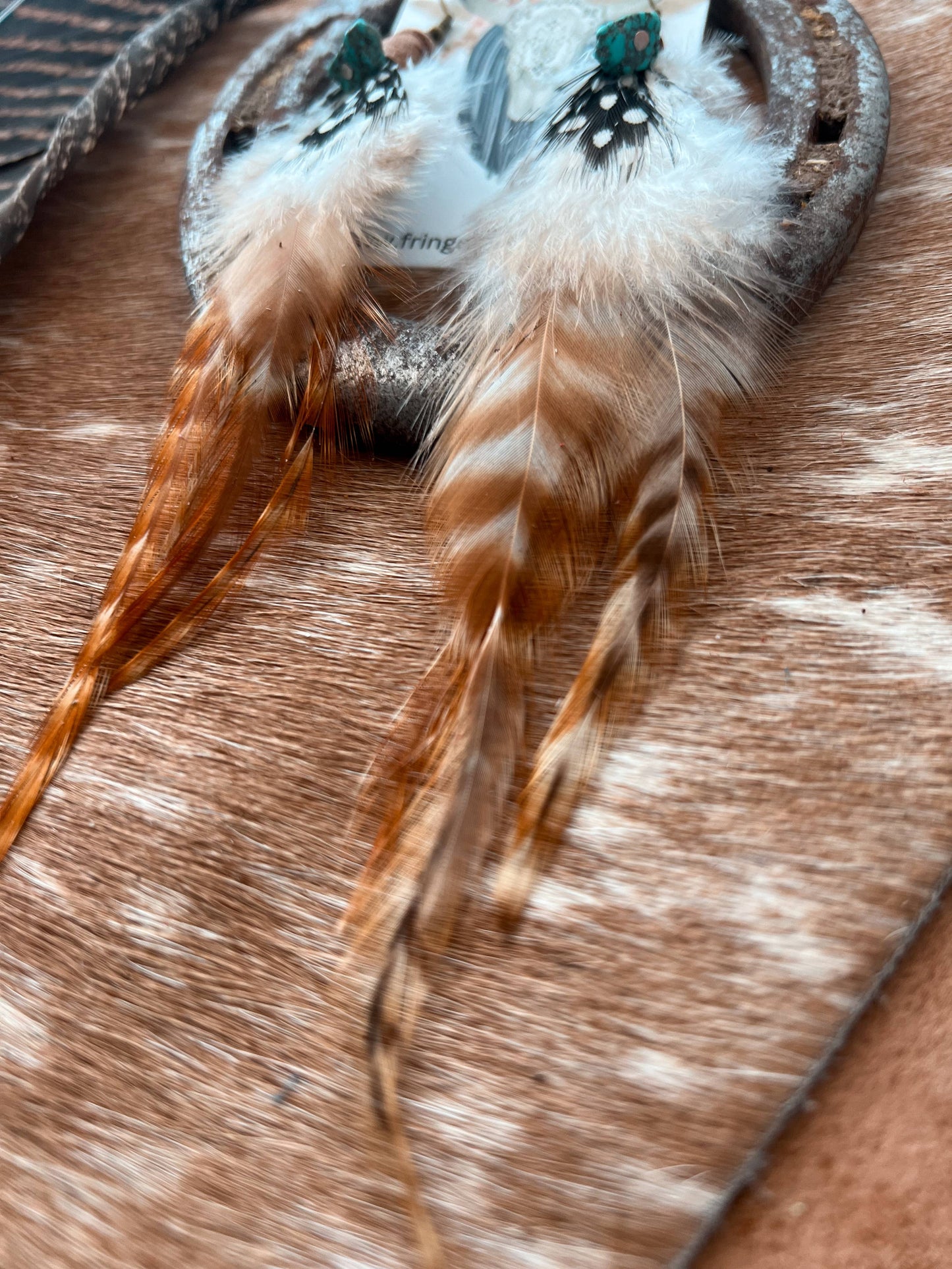 Clearwater Feather Earrings