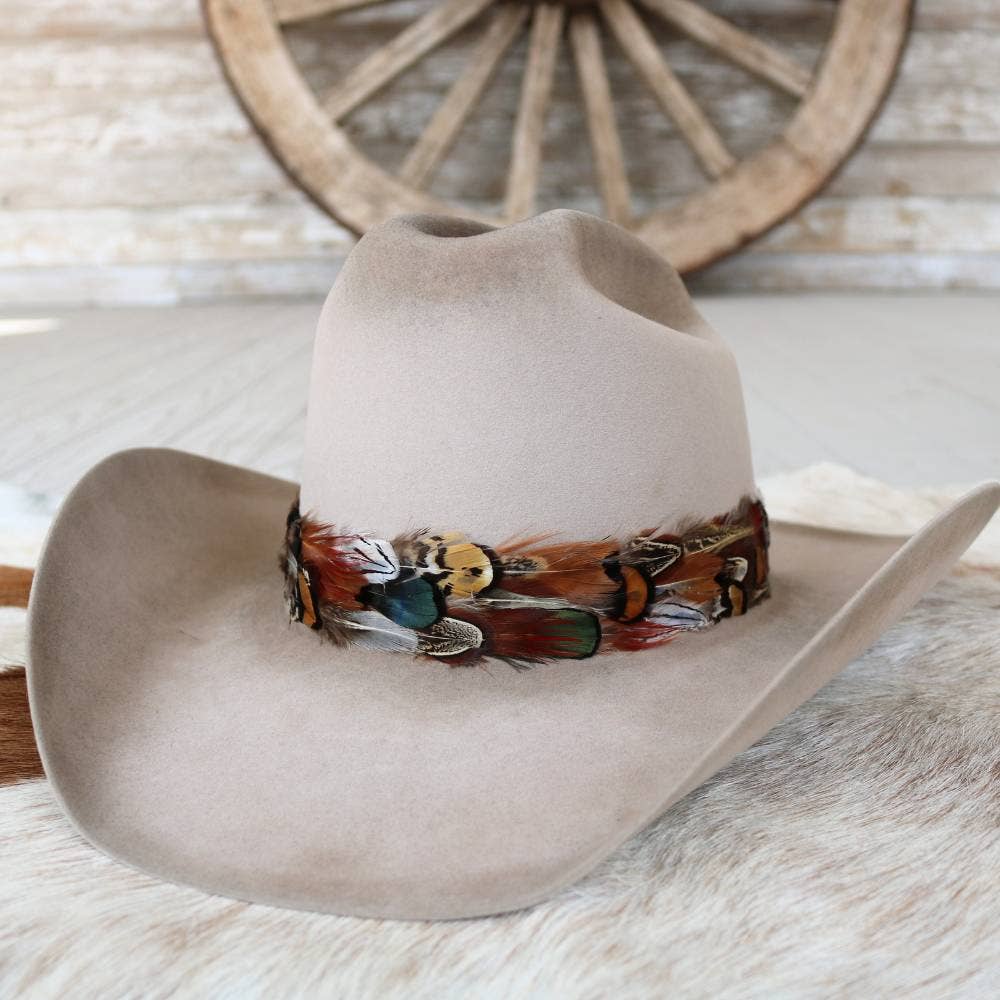 Western Feather Vistoso II Hat Band